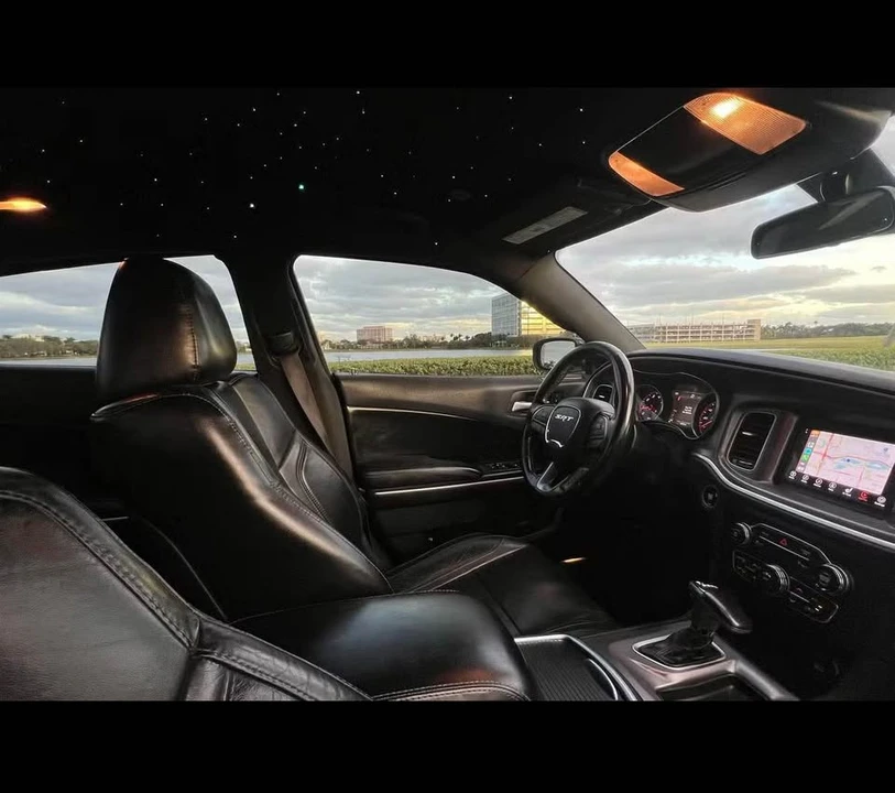 2019 Dodge Charger 7th Gen - Image 19 of 19