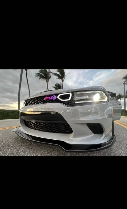 2019 Dodge Charger 7th Gen - Image 13 of 19