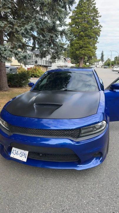 2019 Dodge Charger 7th Gen - Image 6 of 7