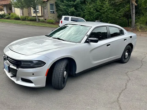 2019 Dodge Charger Pursuit