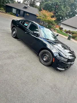 2019 Dodge Charger Pursuit