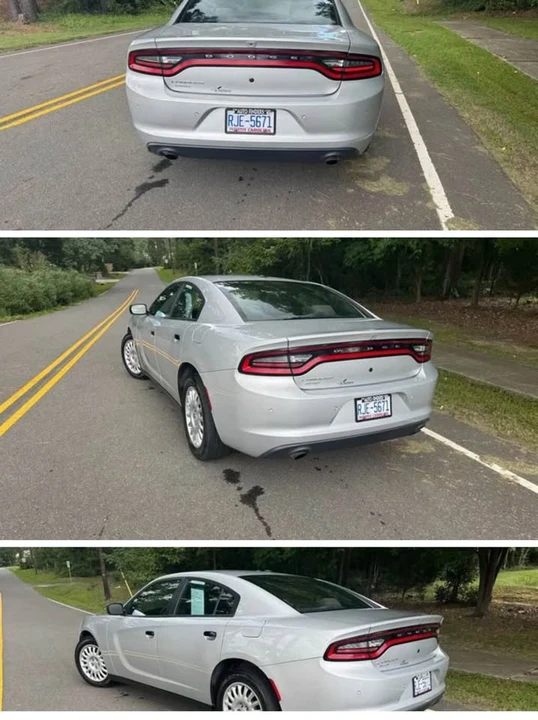 2019 Dodge Charger 7th Gen - Image 4 of 6