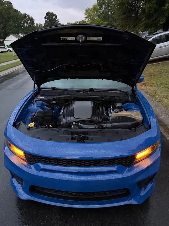 2019 Dodge Charger 7th Gen - Image 18 of 19