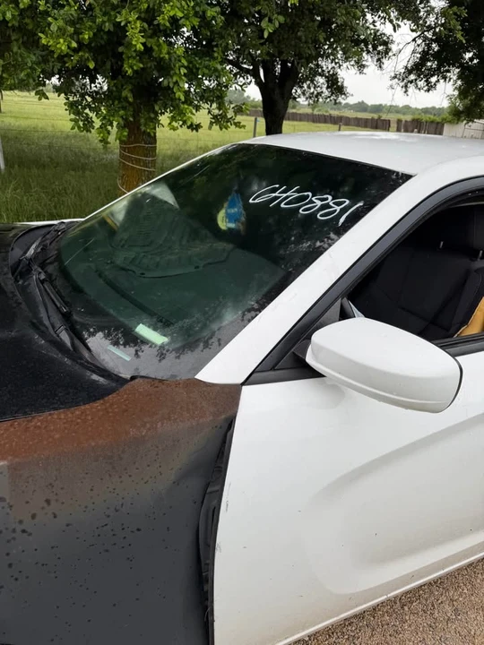 2019 Dodge Charger 7th Gen - Image 14 of 14