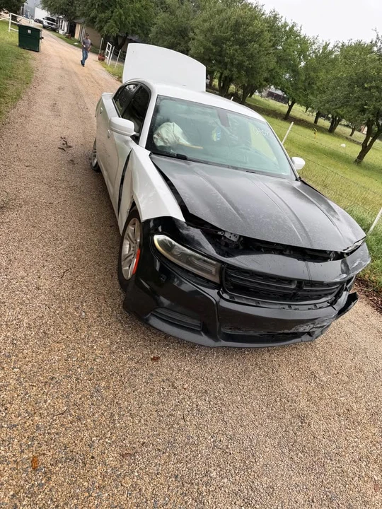 2019 Dodge Charger 7th Gen - Image 9 of 14