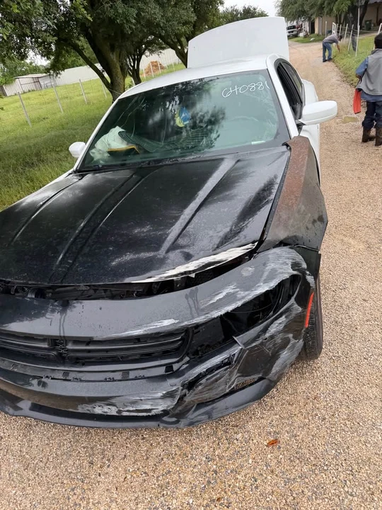 2019 Dodge Charger 7th Gen - Image 11 of 14