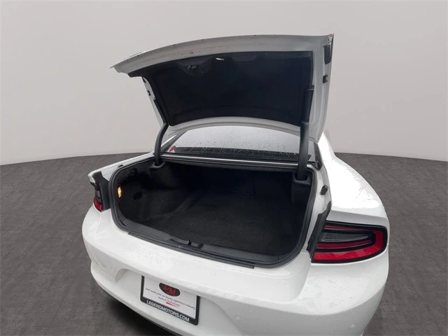 2019 Dodge Charger 7th Gen - Image 14 of 21