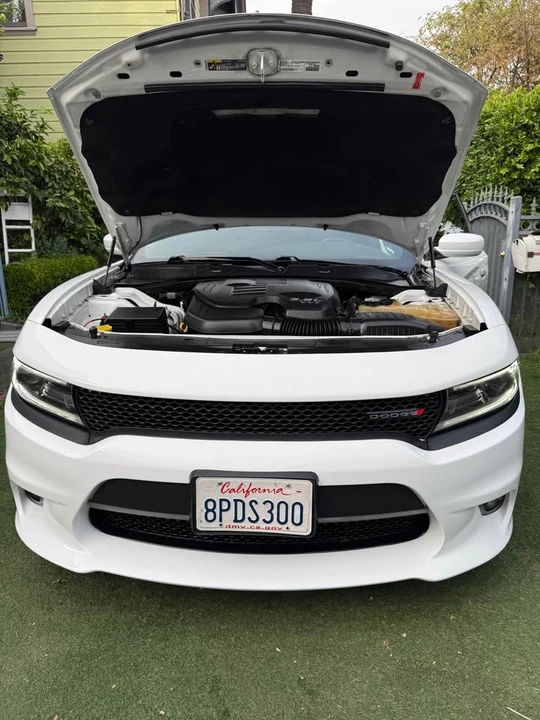2019 Dodge Charger 7th Gen - Image 17 of 17