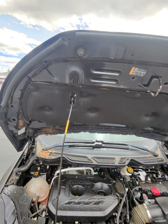 2019 Ford EcoSport - Image 16 of 18