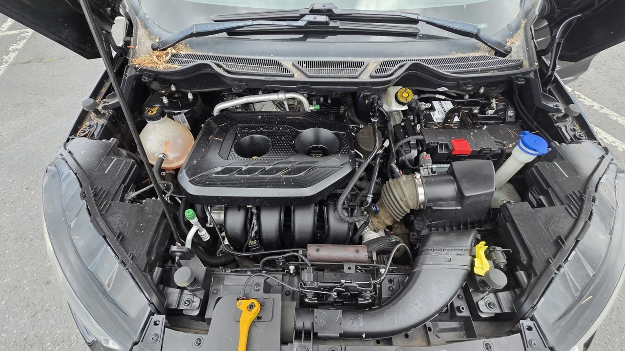 2019 Ford EcoSport - Image 13 of 18