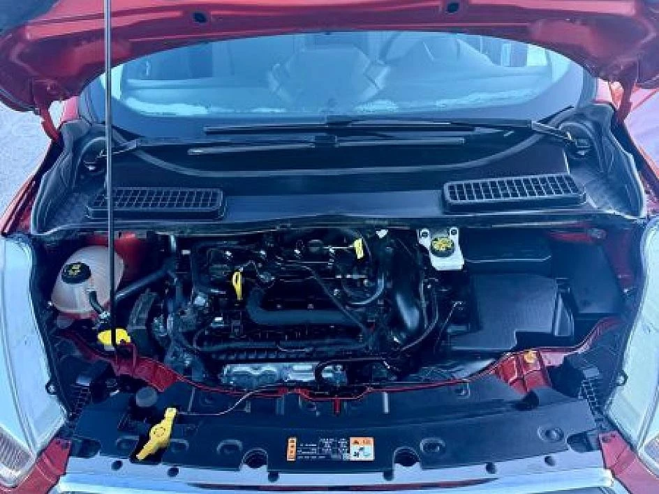 2019 Ford Escape - Image 29 of 29