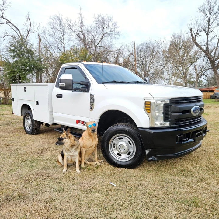 2019 Ford Super Duty 4th Gen - Image 4 of 14