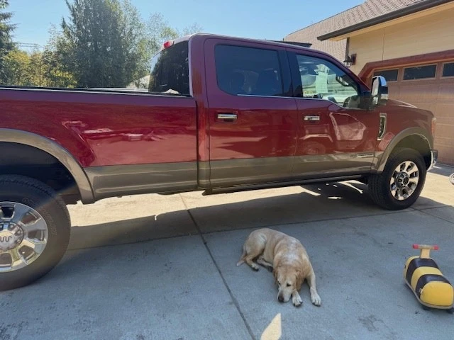 2019 Ford Super Duty 3rd Gen - Image 2 of 11