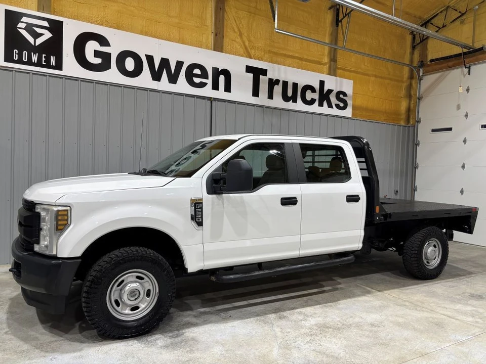 2019 Ford Super Duty 4th Gen - Image 4 of 21