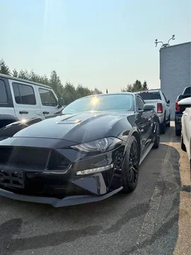 2019 Ford GT Premium