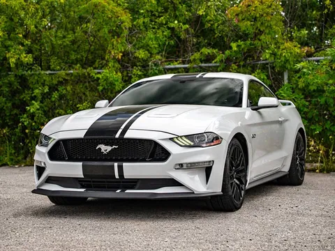 2019 Ford Mustang GT Performance Fastback