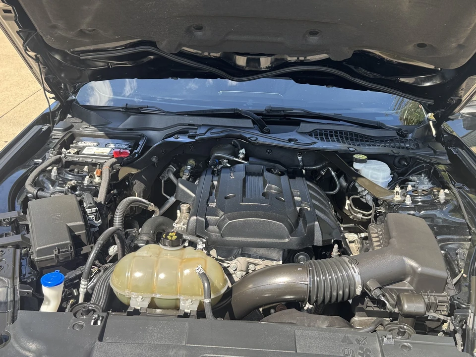 2019 Ford - Image 24 of 31