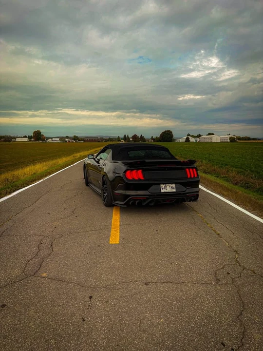 2019 Ford S550 Mustang - Image 2 of 3