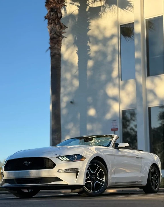 2019 Ford S550 Mustang - Image 19 of 19