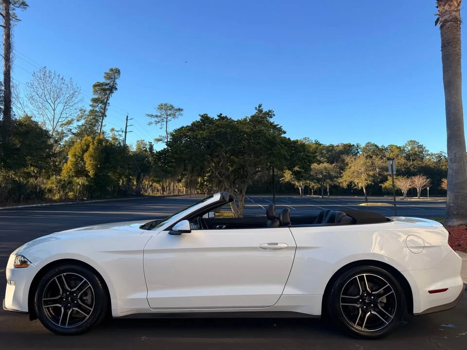 2019 Ford S550 Mustang - Image 5 of 19