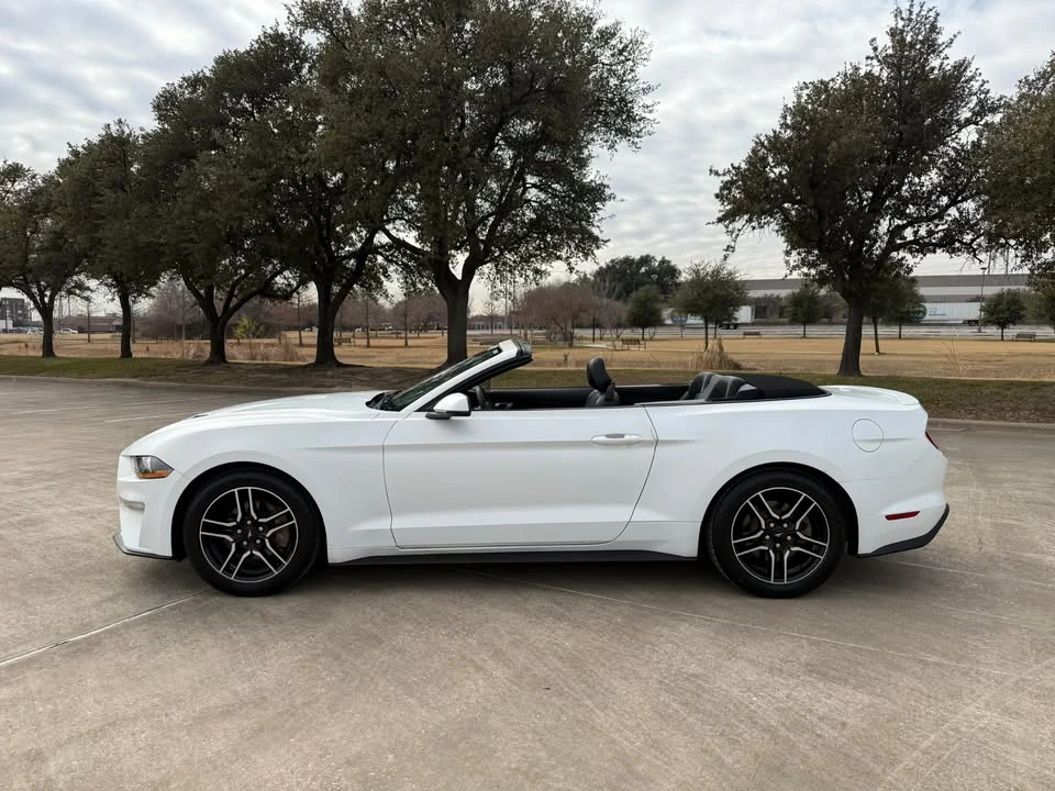 2019 Ford S550 Mustang - Image 8 of 11