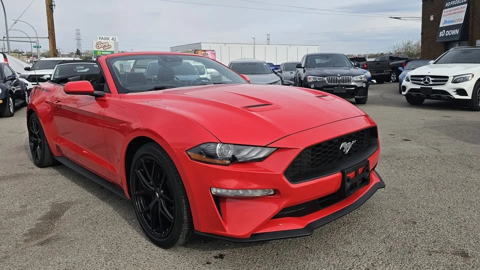 2019 Ford S550 Mustang - Image 8 of 15