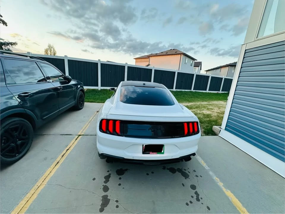 2019 Ford S550 Mustang - Image 4 of 20