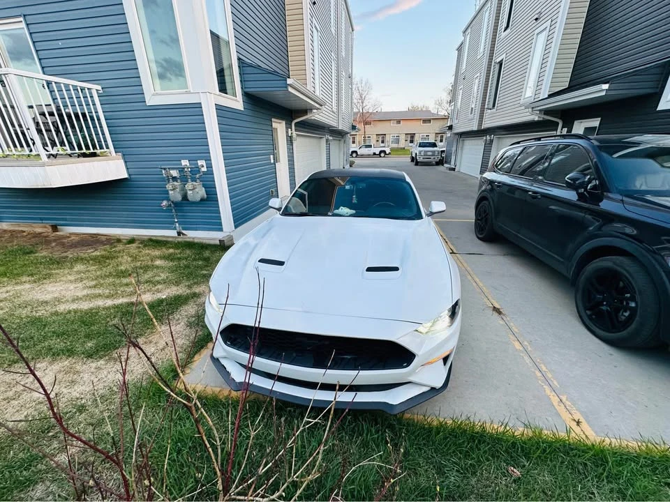 2019 Ford S550 Mustang - Image 5 of 20