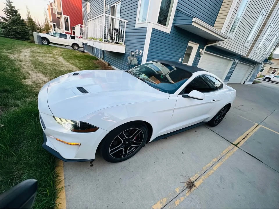 2019 Ford S550 Mustang - Image 2 of 20