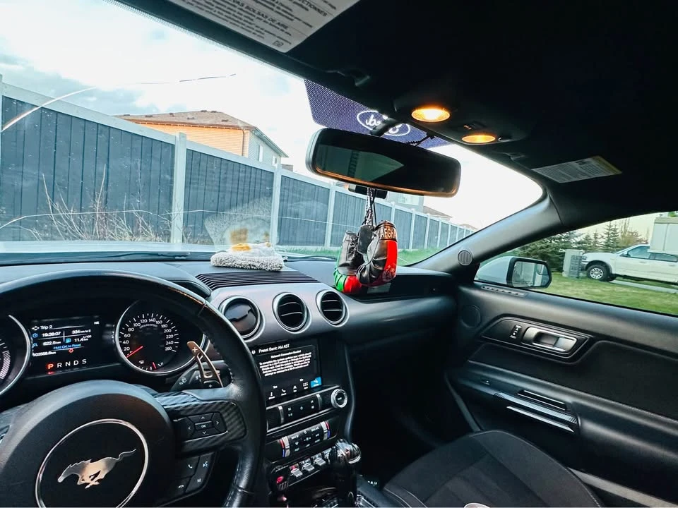 2019 Ford S550 Mustang - Image 15 of 20