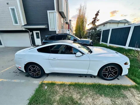2019 Ford Mustang EcoBoost Coupe