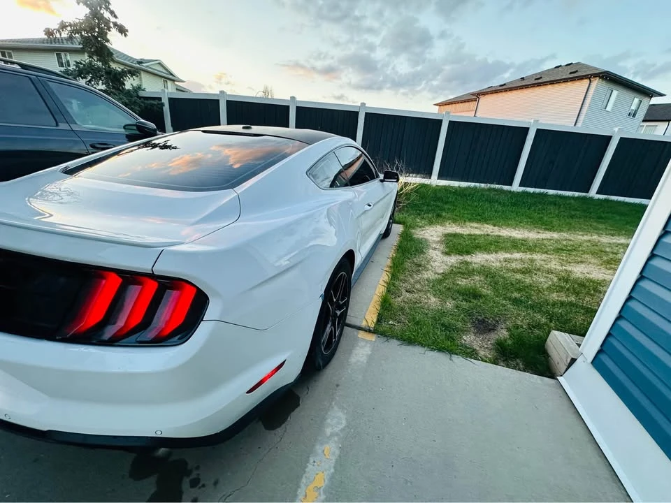 2019 Ford S550 Mustang - Image 3 of 20