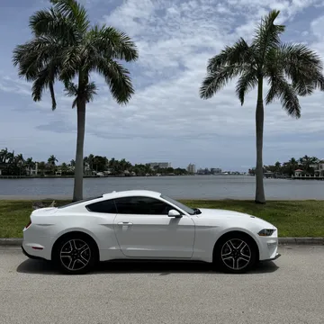 2019 Ford Mustang EcoBoost