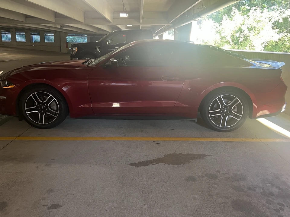 2019 Ford S550 Mustang - Image 4 of 7