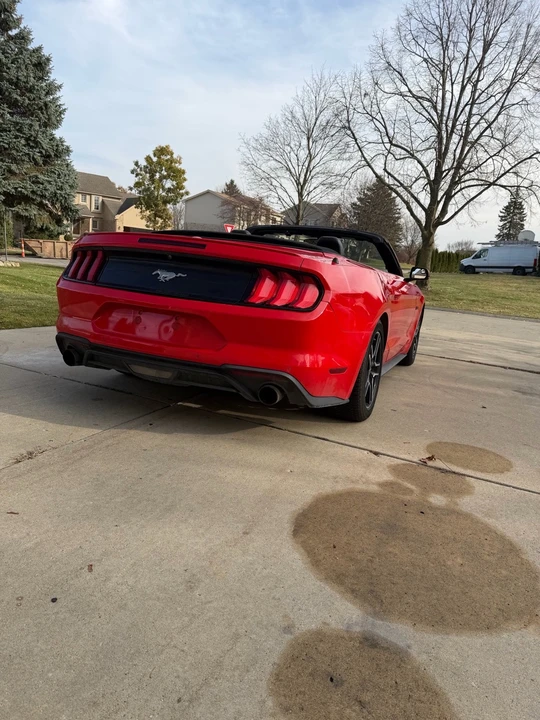 2019 Ford S550 Mustang - Image 9 of 18