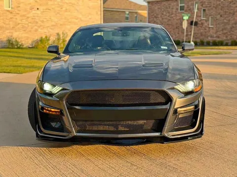 2019 Ford Mustang Cobra Coupe 2D