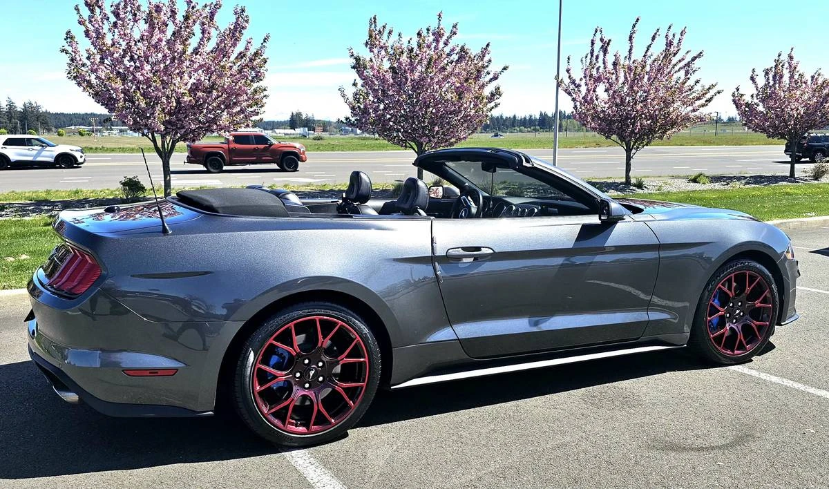2019 Ford S550 Mustang - Image 6 of 11
