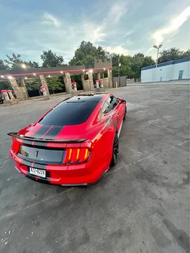 2019 Ford Mustang Coupe 2D