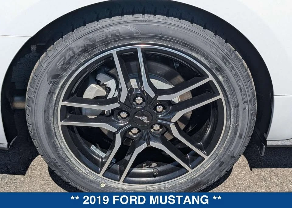 2019 Ford S550 Mustang - Image 9 of 19