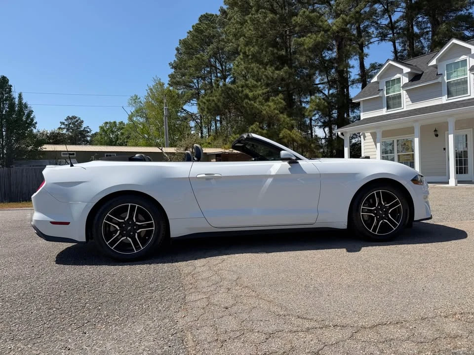 2019 Ford Mustang - Image 4 of 10