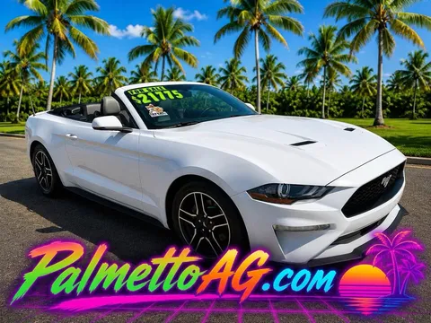 2019 Ford Mustang EcoBoost Premium
