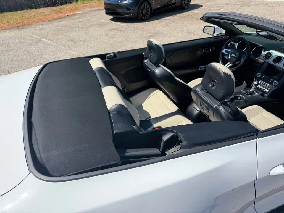 2019 Ford Mustang - Image 10 of 10