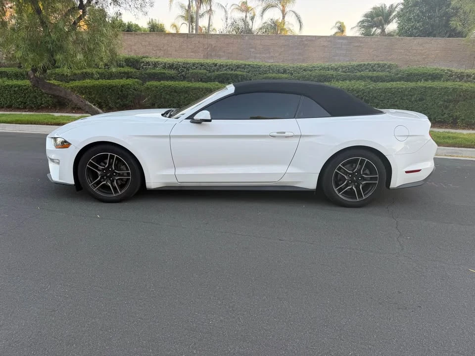 2019 Ford S550 Mustang - Image 2 of 19