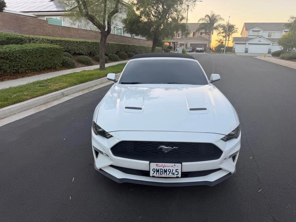 2019 Ford S550 Mustang - Image 8 of 19
