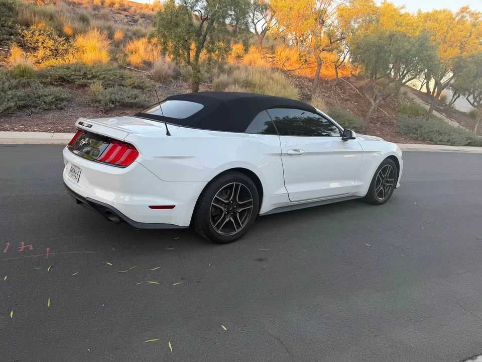 2019 Ford S550 Mustang - Image 5 of 19