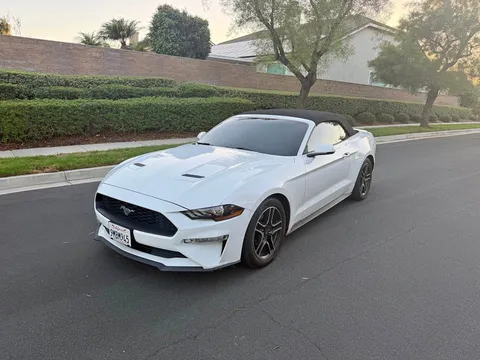 2019 Ford Mustang EcoBoost Convertible 2D