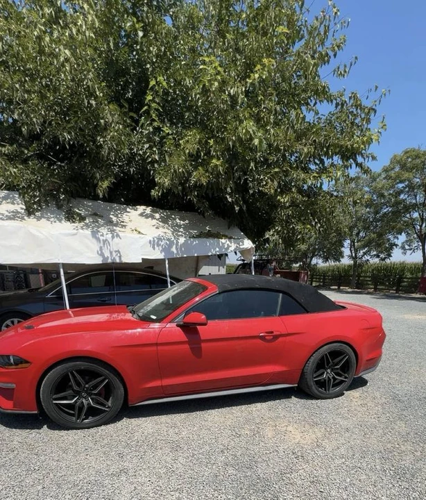2019 Ford S550 Mustang - Image 4 of 7