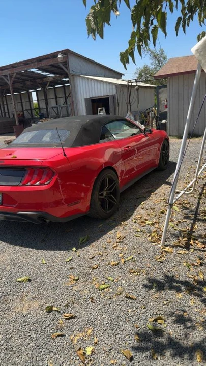 2019 Ford S550 Mustang - Image 2 of 7