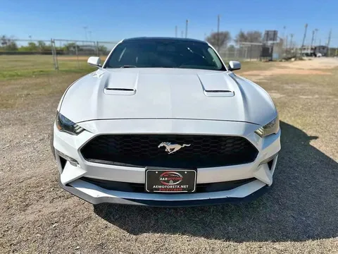 2019 Ford Mustang EcoBoost Coupe 2D