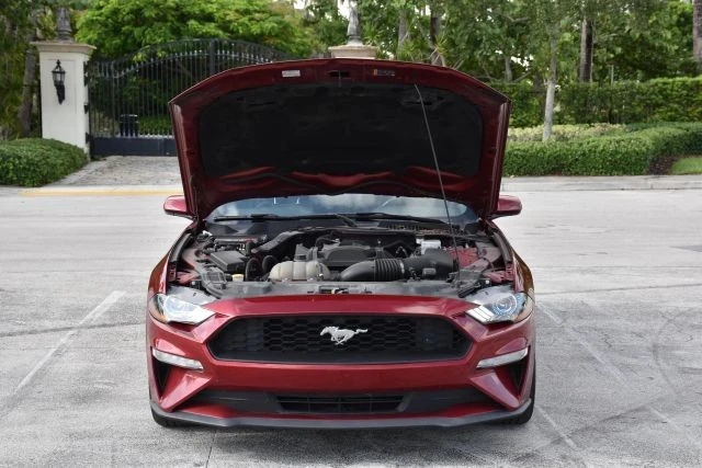 2019 Ford S550 Mustang - Image 15 of 15